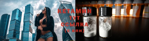 прущие грибы Белоозёрский