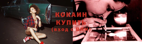 прущие грибы Белоозёрский