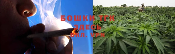 прущие грибы Белоозёрский