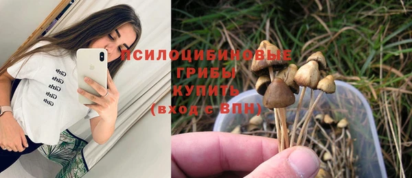 бутират Белокуриха