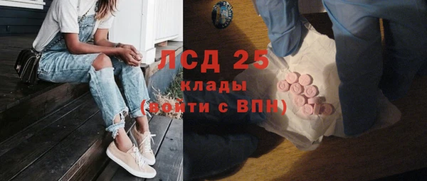 прущие грибы Белоозёрский