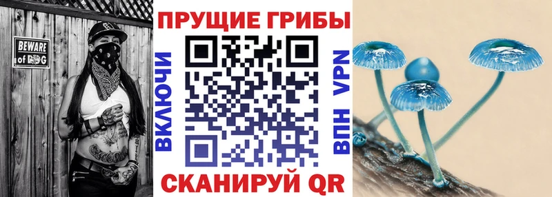 Псилоцибиновые грибы GOLDEN TEACHER Сосновоборск